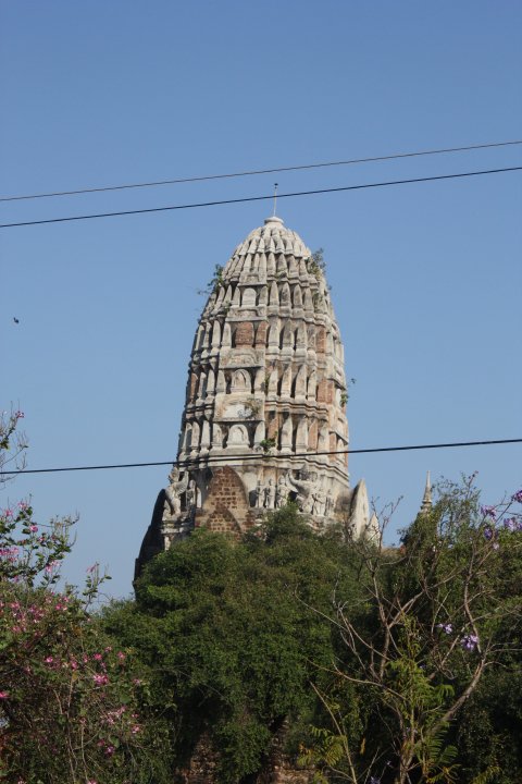 24069_1105041122875_1732183858_189613_1045892_n