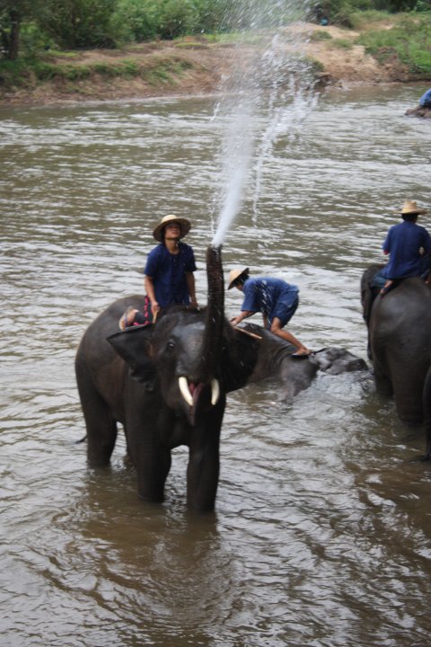 24069_1105091284129_1732183858_189838_3105118_n