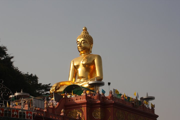 24069_1105115844743_1732183858_189880_2804004_n