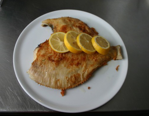 26222_100888253282807_100000848991972_21798_3924840_n