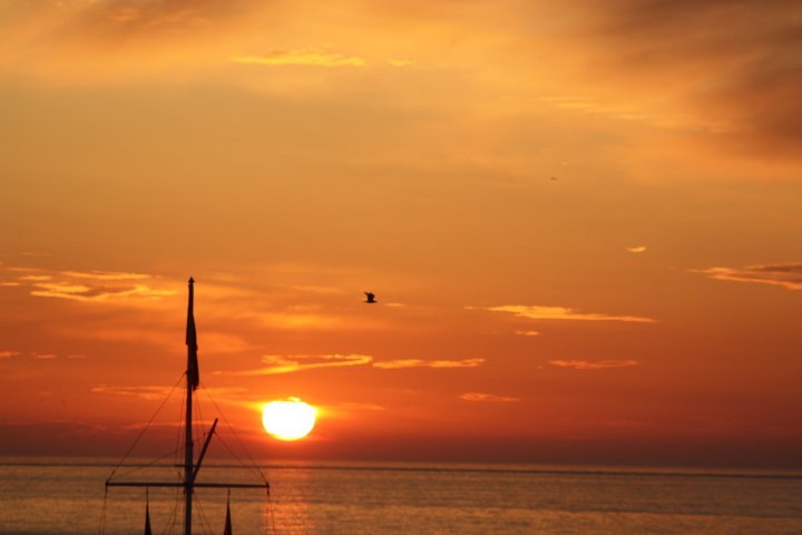 26222_100893016615664_100000848991972_21903_3273173_n