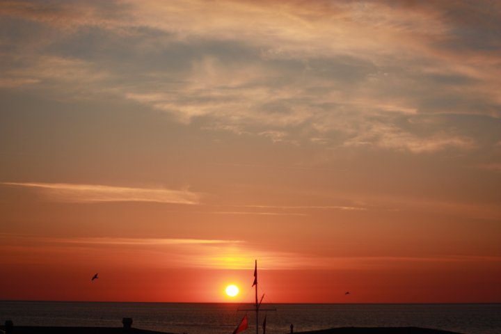 26222_100902303281402_100000848991972_22154_5077829_n