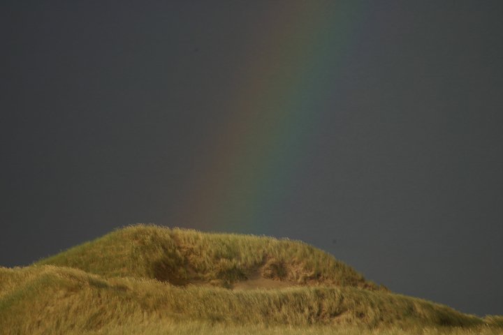 26222_100905006614465_100000848991972_22221_578074_n